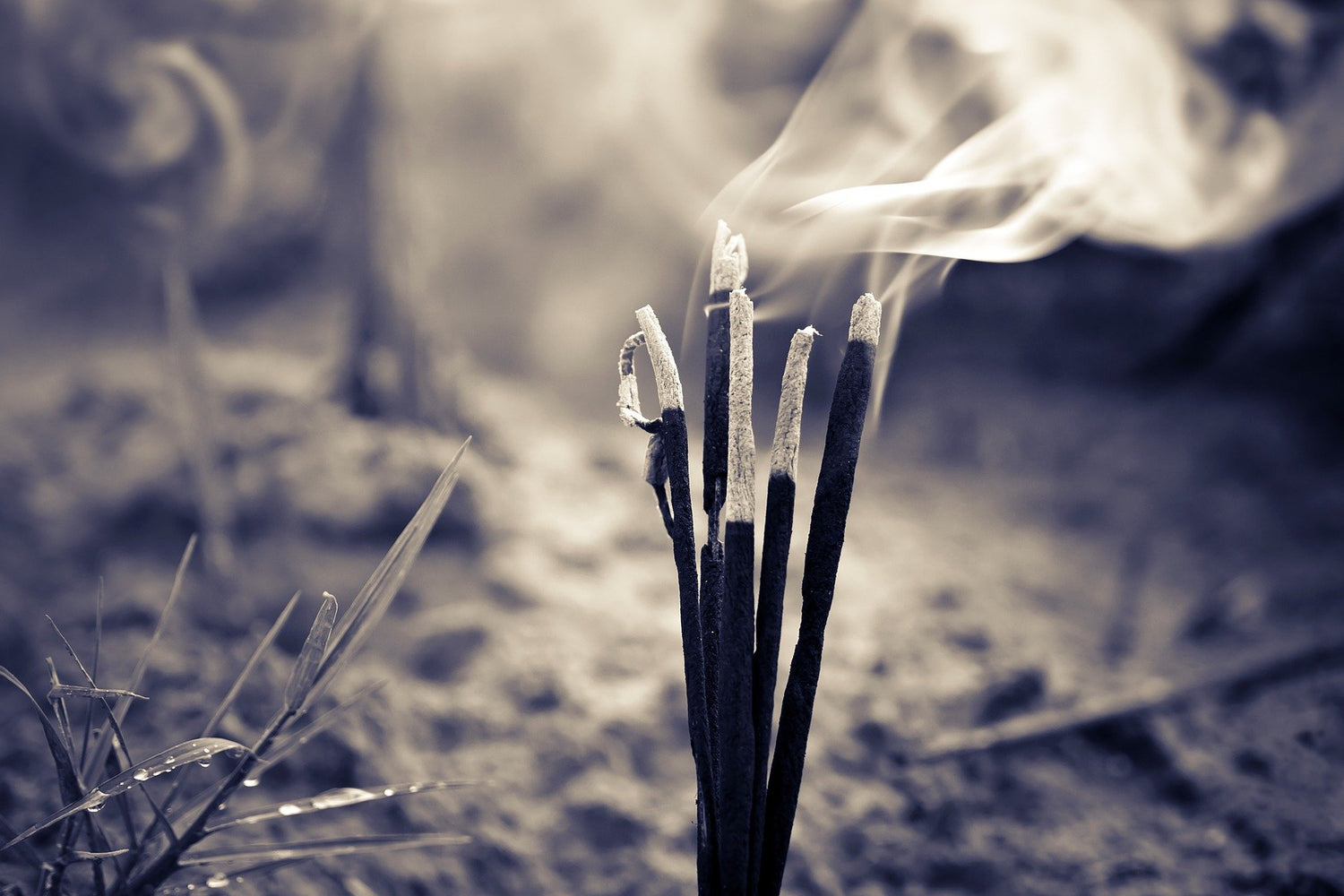 Home Fragrance